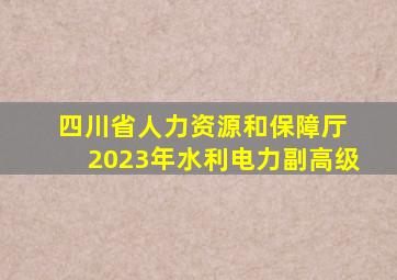 四川省人力资源和保障厅 2023年水利电力副高级